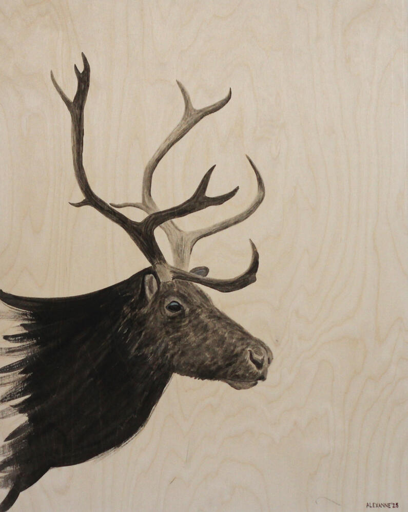 Paul le Caribou, 24&quot;x36&quot;, 2025, Encre de Chine sur panneau de bois, 450$